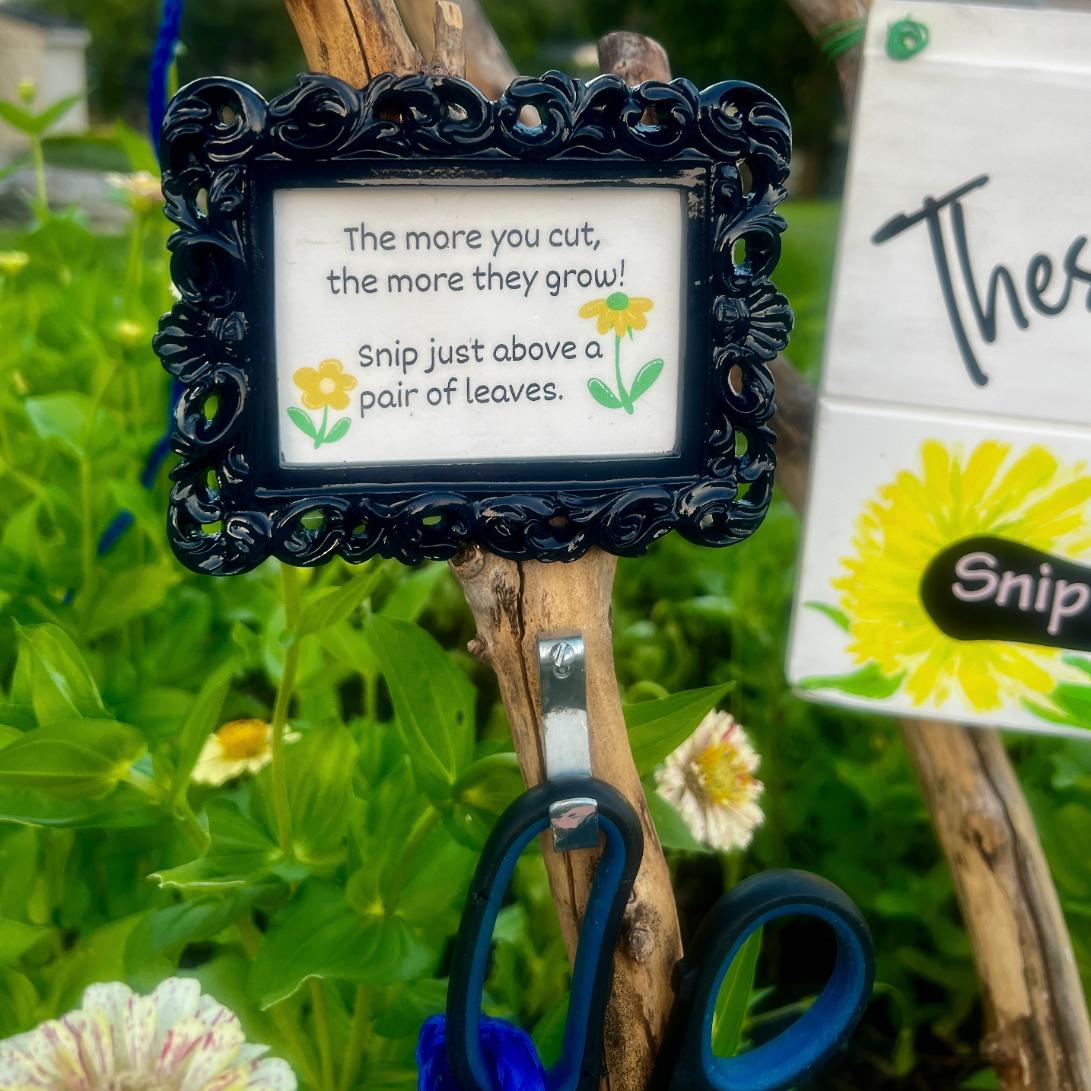 A small framed sign reads, "The more you cut, the more they grow! Snip just above a pair of leaves," with drawings of yellow flowers, hanging outdoors beside a hook holding scissors—a friendly reminder for visitors to the neighborhood cutting garden.