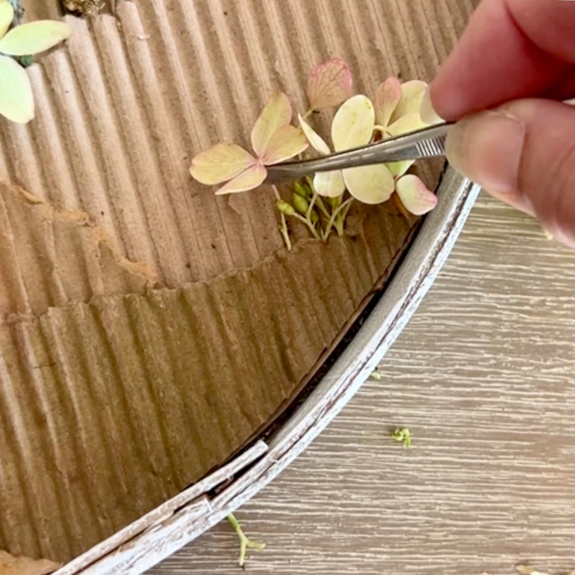 A hand uses tweezers to place pale, small flower petals on a piece of corrugated cardboard next to a metal tray, with a wooden surface underneath—creating a delicate wreath alternative.