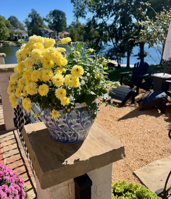 A blue and white ceramic pot with yellow flowers sits on a stone post in a sunny lakeside backyard with outdoor chairs and trees in the background.